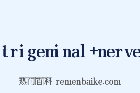 trigeminal+nerve是什么意思的图片